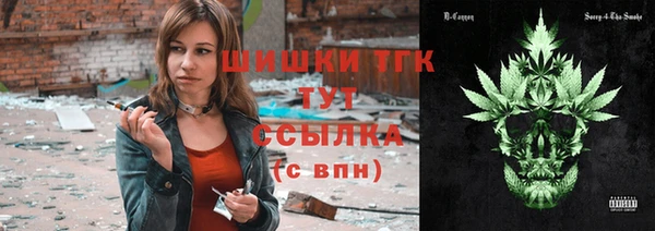 стафф Верхний Тагил